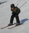 Skiläufer
